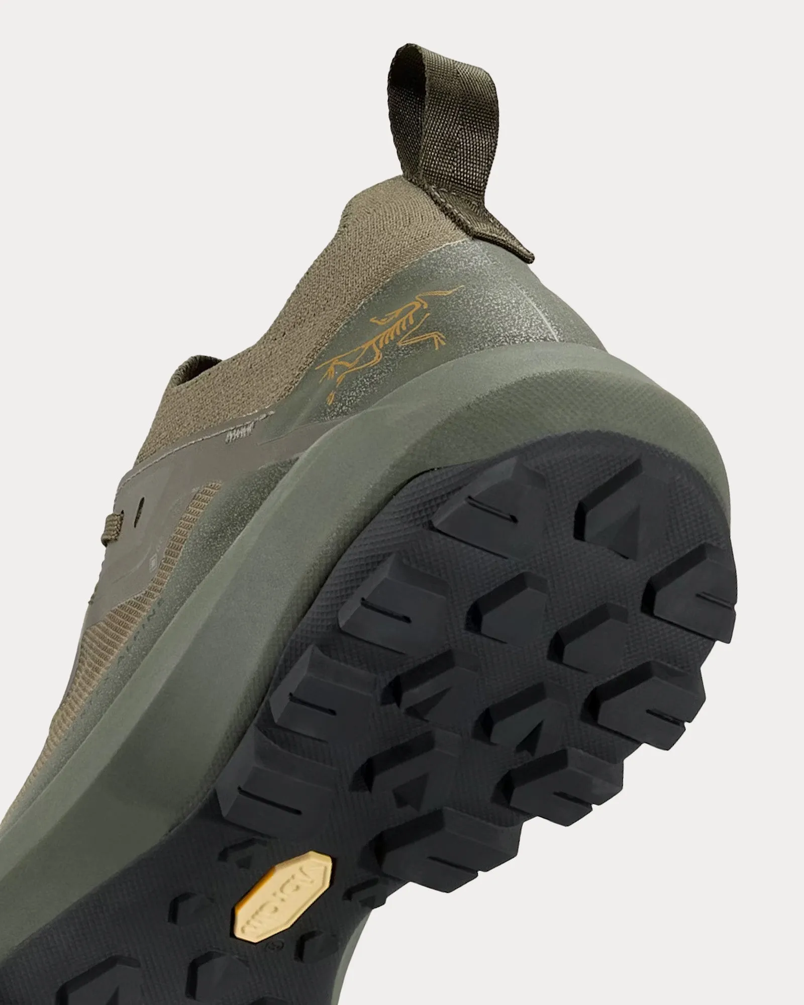 Vertex Alpine GTX Tatsu / Anecdote Running Shoes